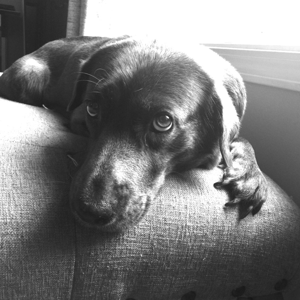 Meet your Posher, Delinda